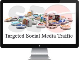 Buy Social Media Traffic From Social Networks Sites