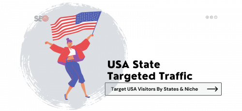 Buy USA State Targeted Traffic - Target USA Visitors By States & Niche