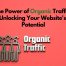 Strategies to Increase Organic Website Traffic Naturally